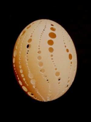 Wellen-Ei