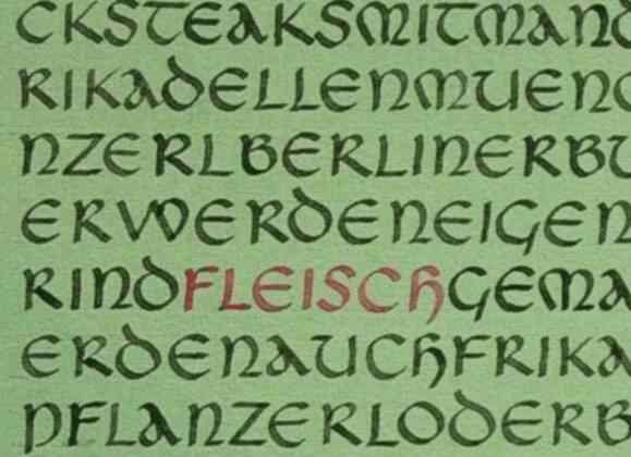 Fleisch