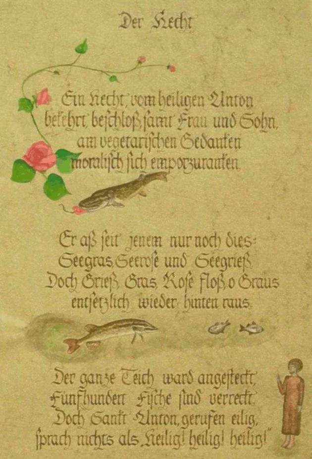 Der Hecht, Text