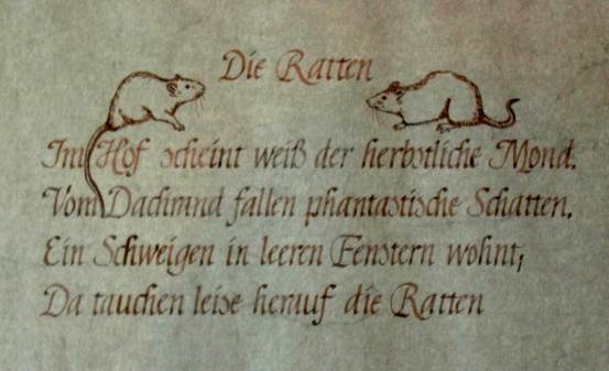Die Ratten